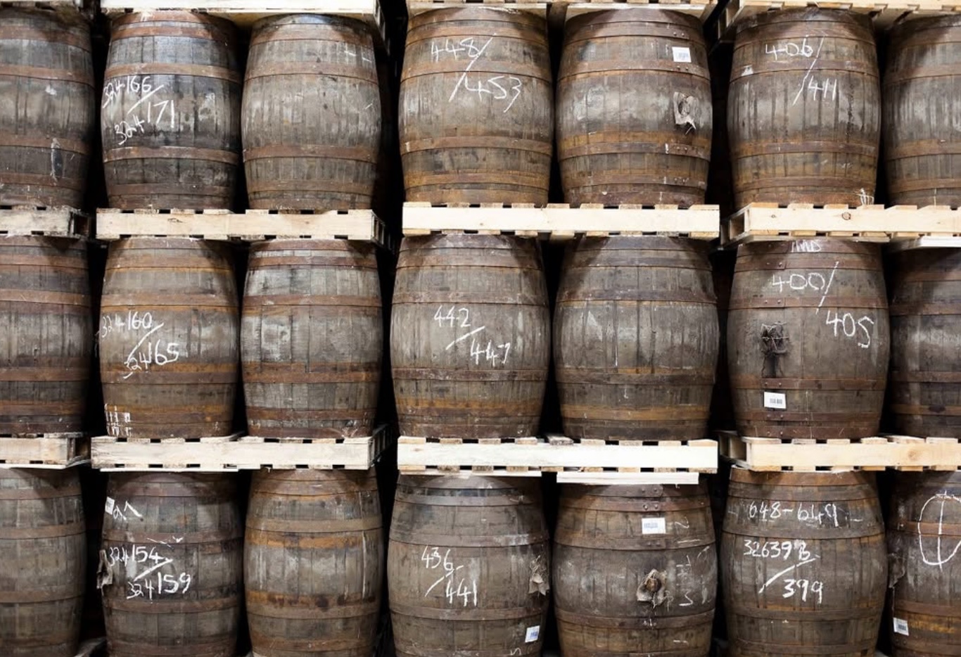 Scotch